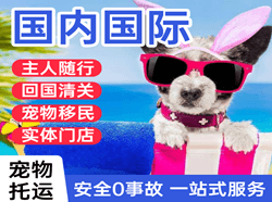 海口美兰航空邮寄国际宠物托运 【国
